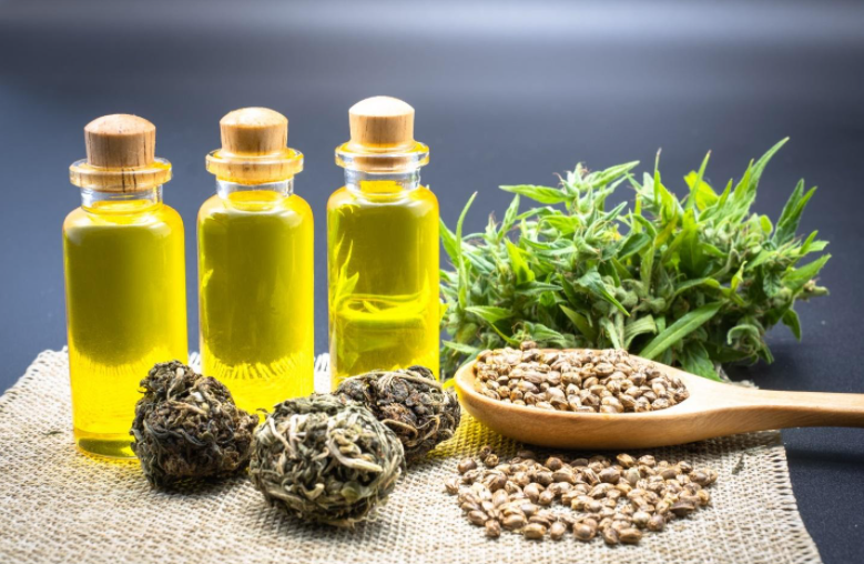 Things to Know About CBD Oil For Pets